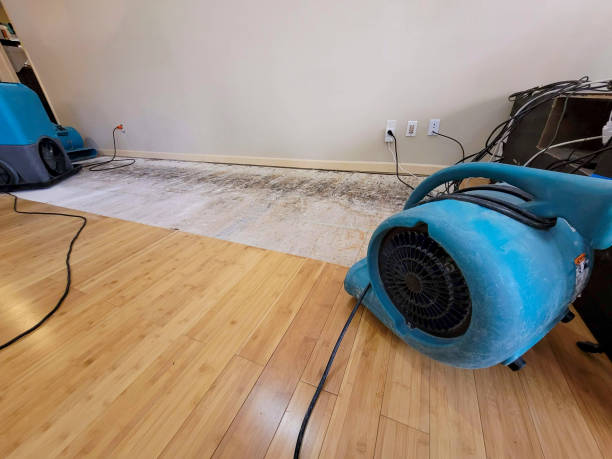 Professional Structural Drying technician working in Park City, UT